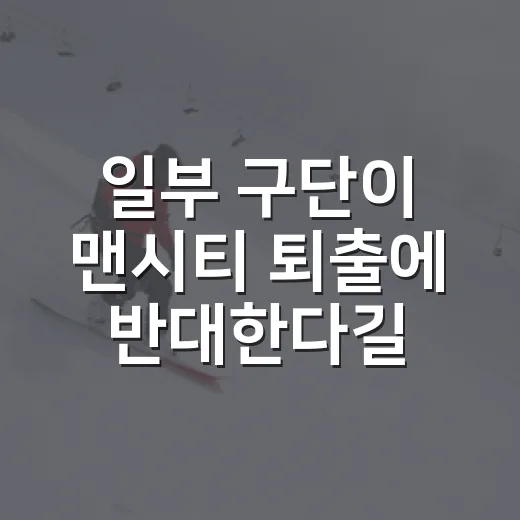 일부 구단이 맨시티 퇴출에 반대한다길래, 숫자로 다시 본 판의 무게 - 요약