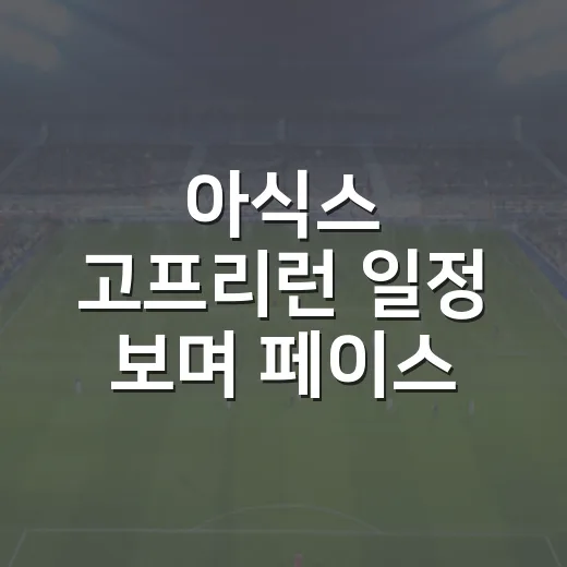 아식스 고프리런 일정 보며 페이스 전략까지 짜봤더니 - 요약