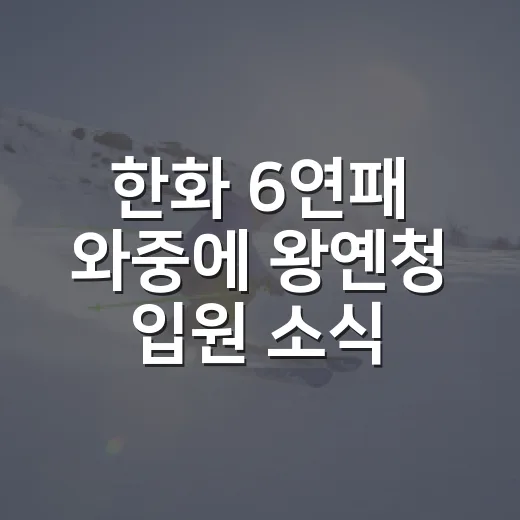 한화 6연패 와중에 왕옌청 입원 소식까지 겹쳤던 날, 숫자로 보니 더 아팠다 - 요약