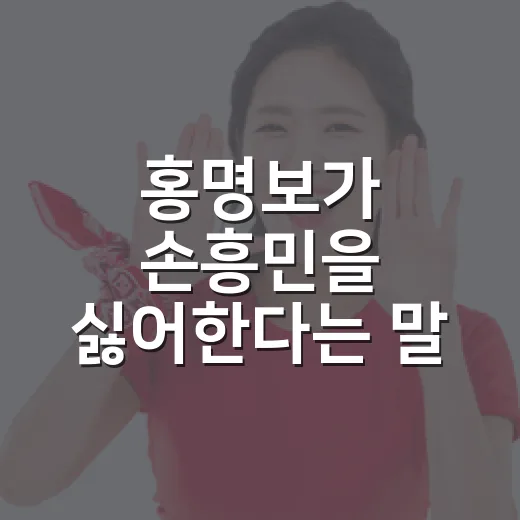 홍명보가 손흥민을 싫어한다는 말, 기록으로 따라가 봤더니 보인 3가지 장면 - 요약
