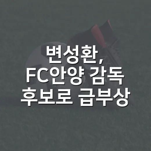 변성환, FC안양 감독 후보로 급부상한 이유는? - 요약