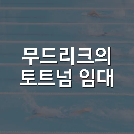 무드리크의 토트넘 임대, 그 숨겨진 이야기 - 요약