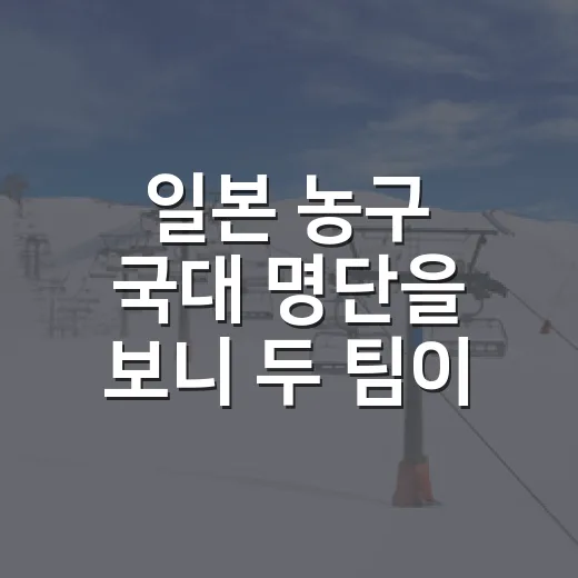 일본 농구 국대 명단을 보니 두 팀이 보였다 - 요약