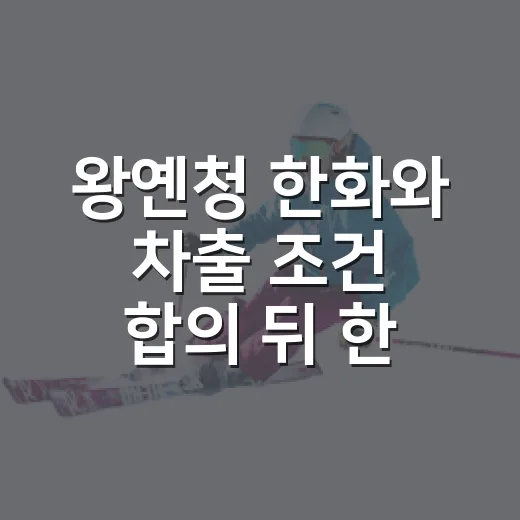 왕옌청 한화와 차출 조건 합의 뒤 한 경기에 담긴 이야기 - 요약