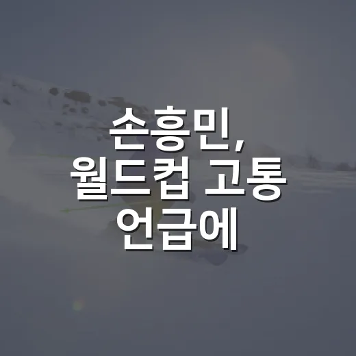 손흥민, 월드컵 고통 언급에 조별리그 기록을 다시 봤다 - 요약