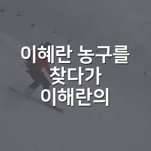 이혜란 농구를 찾다가 이해란의 숫자에 멈췄다 - 요약
