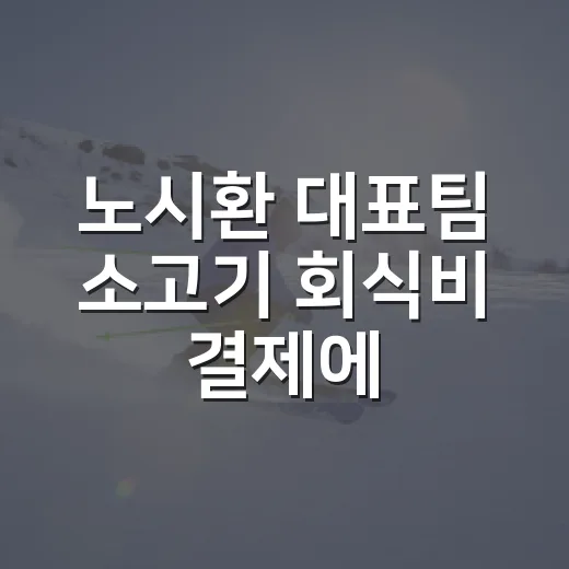 노시환 대표팀 소고기 회식비 결제에 눈길이 간 이유 - 요약