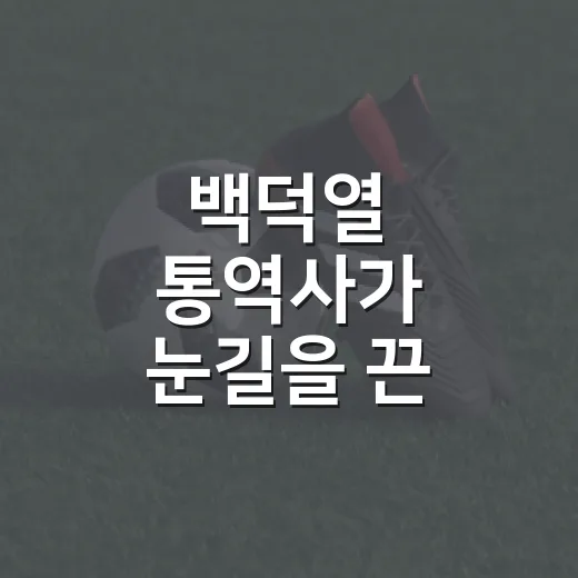 백덕열 통역사가 눈길을 끈 경기의 진짜 흐름 - 요약