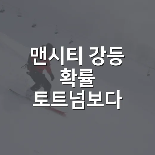 맨시티 강등 확률 토트넘보다 높다길래 숫자를 봤다 - 요약