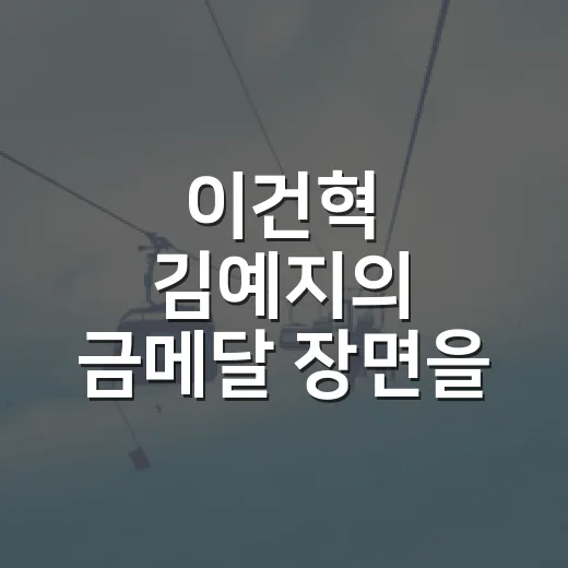 이건혁 김예지의 금메달 장면을 기록으로 다시 봤다 - 요약