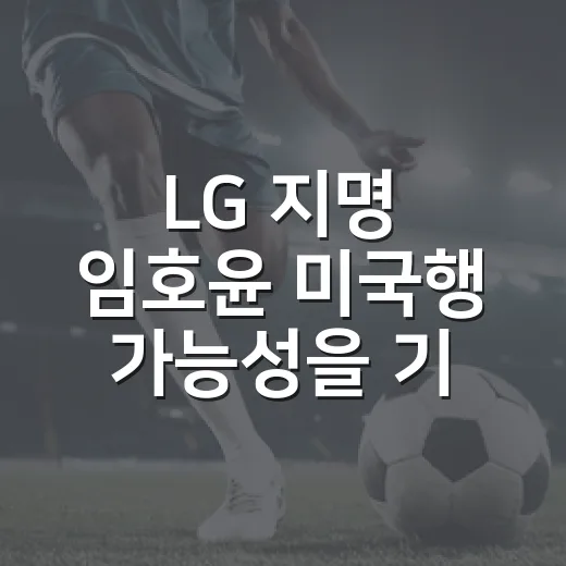 LG 지명 임호윤 미국행 가능성을 기록으로 따져봤다 - 요약