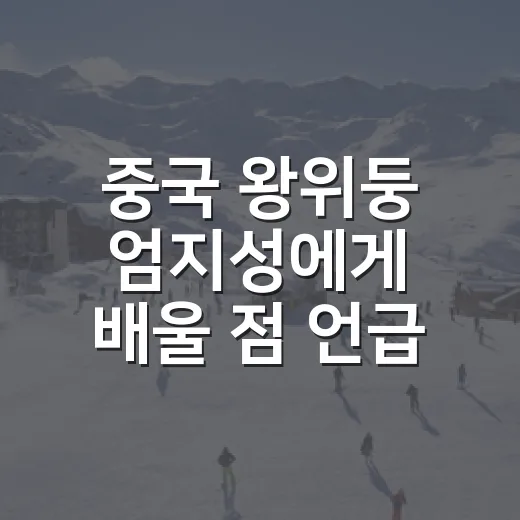 중국 왕위둥 엄지성에게 배울 점 언급 후 다시 본 한중전 - 요약