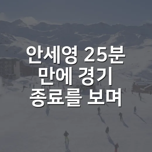 안세영 25분 만에 경기 종료를 보며 눈에 남은 것 - 요약