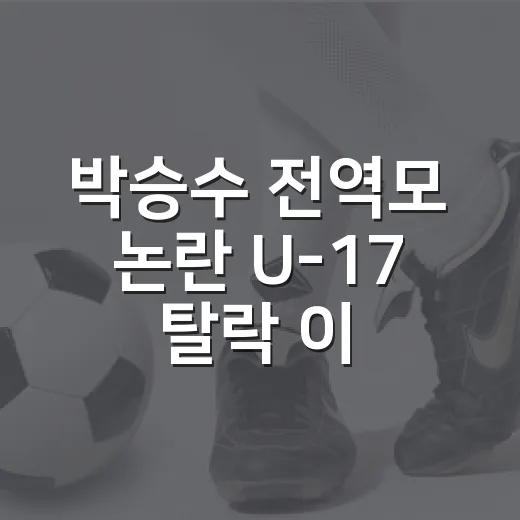 박승수 전역모 논란 U-17 탈락 이유를 다시 보니 - 요약