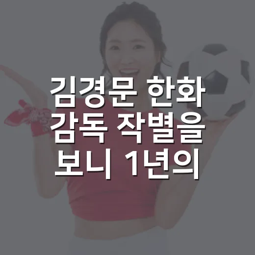 김경문 한화 감독 작별을 보니 1년의 낙차가 크다 - 요약