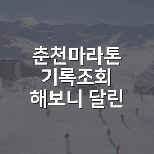 춘천마라톤 기록조회 해보니 달린 흐름이 보였다 - 요약