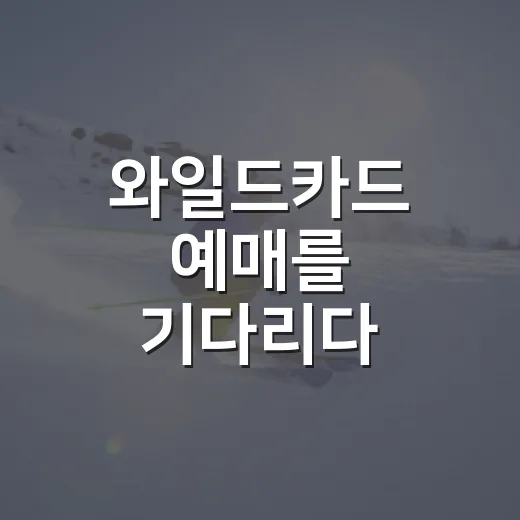 와일드카드 예매를 기다리다 1차전의 무게를 봤다 - 요약