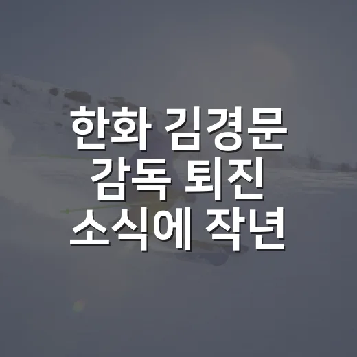 한화 김경문 감독 퇴진 소식에 작년 기록을 다시 봤다 - 요약