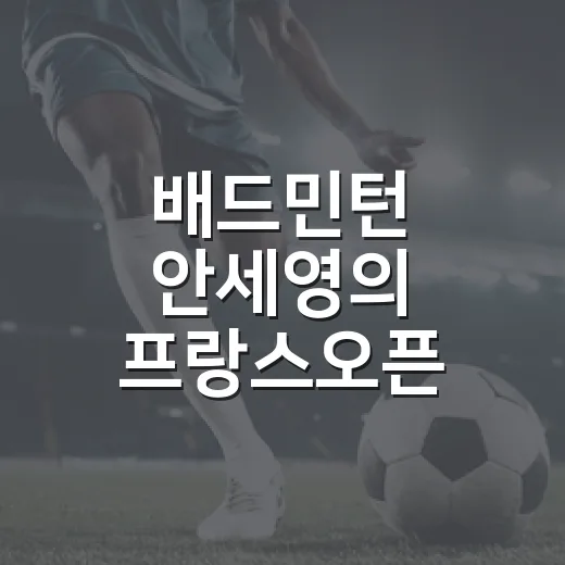 배드민턴 안세영의 프랑스오픈 역전극을 다시 봤더니 - 요약