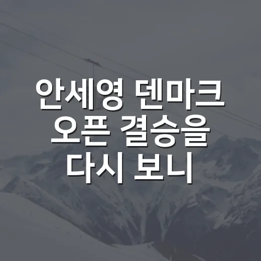 안세영 덴마크 오픈 결승을 다시 보니 점수보다 역전 과정이 남았다 - 요약