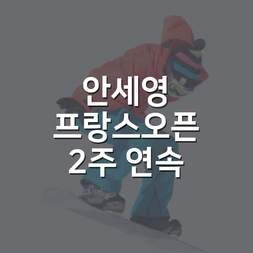 안세영 프랑스오픈 2주 연속 우승을 보니 역전의 무게가 보였다 - 요약