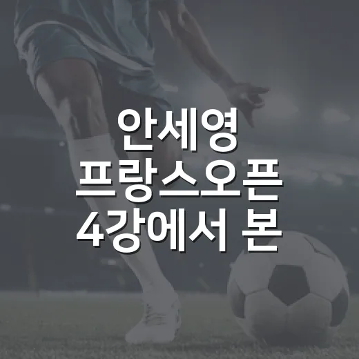 안세영 프랑스오픈 4강에서 본 19점의 긴장 - 요약