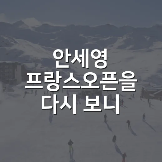 안세영 프랑스오픈을 다시 보니 역전이 더 대단했다 - 요약