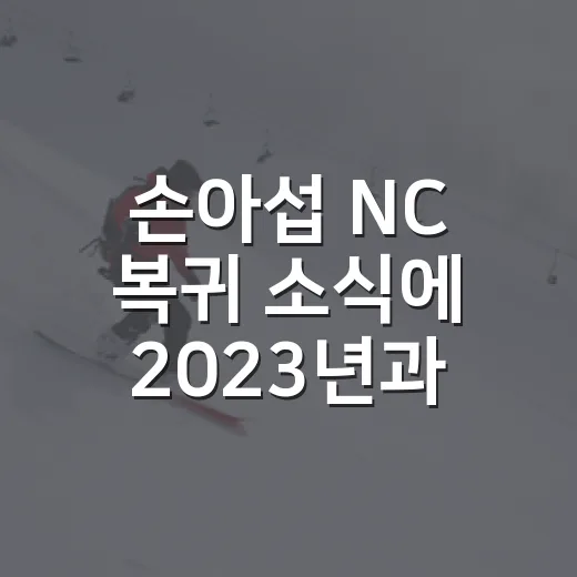 손아섭 NC 복귀 소식에 2023년과 올해 기록을 다시 봤다 - 요약