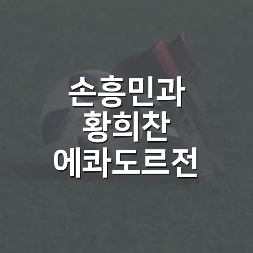 손흥민과 황희찬 에콰도르전 영상 재조명해보니 - 요약