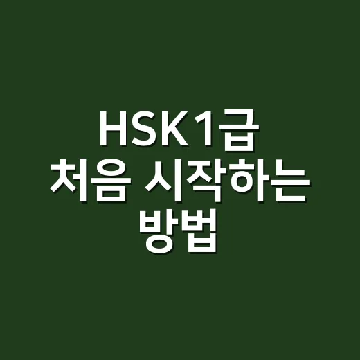 HSK1급 처음 시작하는 방법: 단어보다 먼저 잡아야 할 발음과 문장 감각 - 요약