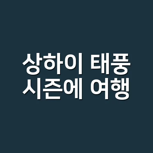 상하이 태풍 시즌에 여행·유학 생활하려면 이렇게 준비하세요 - 요약