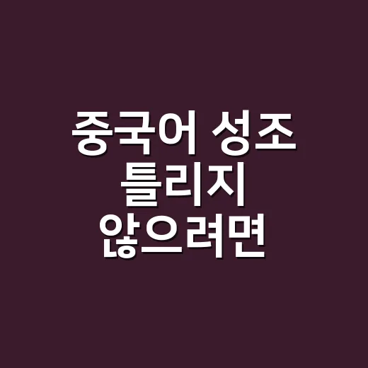 중국어 성조 틀리지 않으려면 이렇게 연습하세요 - 요약
