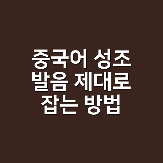 중국어 성조 발음 제대로 잡는 방법, 안 들리고 안 통할 때 이렇게 고치세요 - 요약