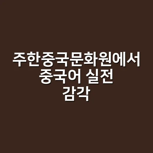 주한중국문화원에서 중국어 실전 감각 키우는 방법 - 요약