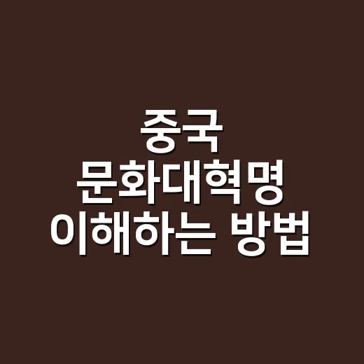 중국 문화대혁명 이해하는 방법, 중국어 표현과 생활 맥락까지 같이 보기 - 요약