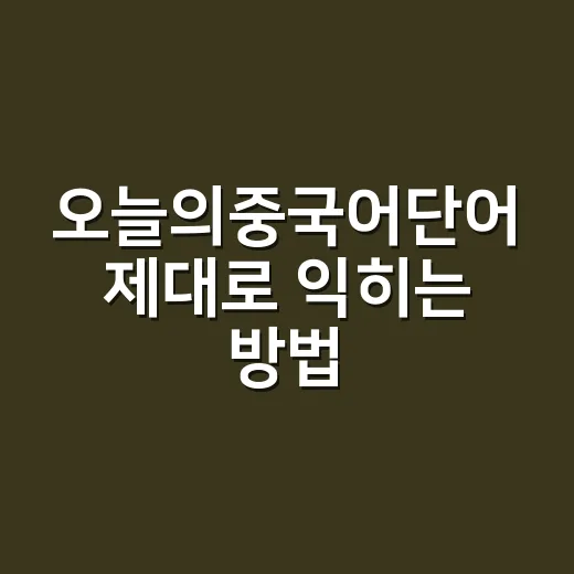 오늘의중국어단어 제대로 익히는 방법, 발음부터 예문까지 이렇게 잡으세요 - 요약