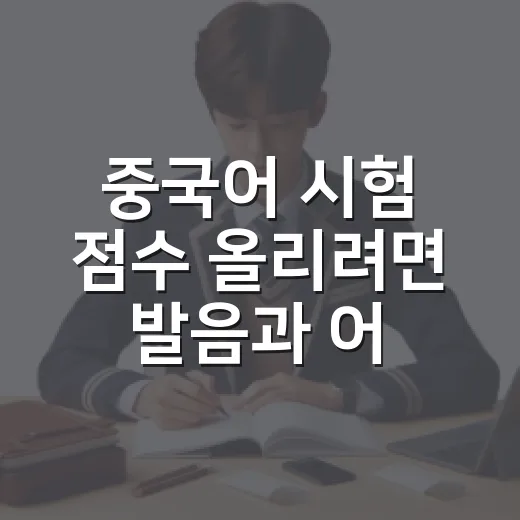 중국어 시험 점수 올리려면 발음과 어법을 이렇게 잡으세요 - 요약