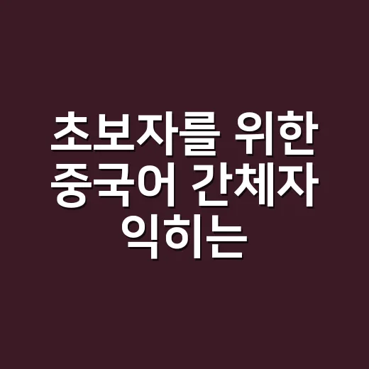 초보자를 위한 중국어 간체자 익히는 방법: 외우기보다 구조로 잡기 - 요약