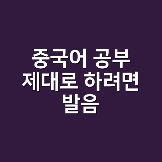중국어 공부 제대로 하려면 발음·문장·현지 표현을 이렇게 잡으세요 - 요약
