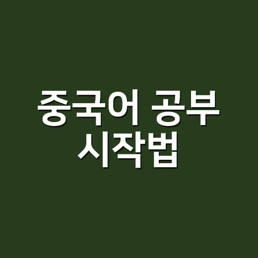 중국어 공부 시작법, 초보자가 3개월을 버티려면 이렇게 잡으세요 - 요약