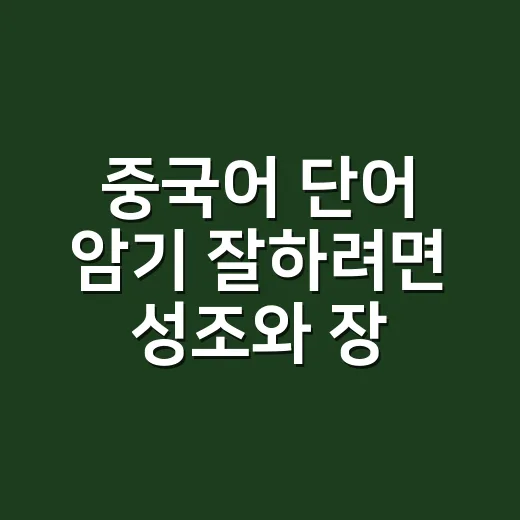 중국어 단어 암기 잘하려면 성조와 장면을 같이 묶는 방법 - 요약