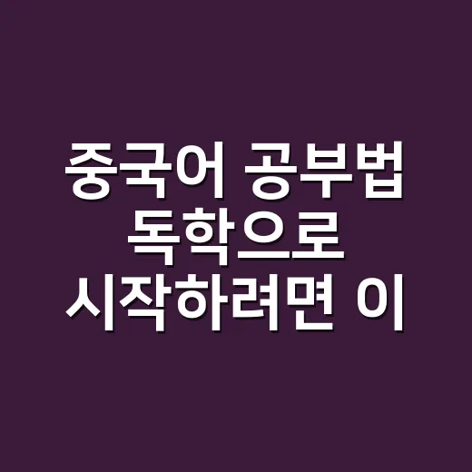 중국어 공부법 독학으로 시작하려면 이렇게 잡으세요 - 요약
