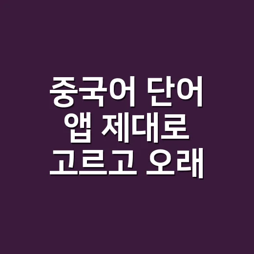 중국어 단어 앱 제대로 고르고 오래 쓰는 방법 - 요약