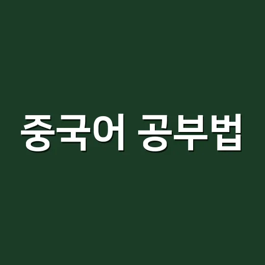 중국어 공부법, 초보자가 발음부터 회화까지 잡으려면 이렇게 - 요약