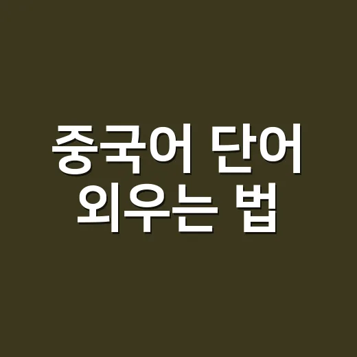 중국어 단어 외우는 법, 초보자가 오래 기억하려면 이렇게 하세요 - 요약