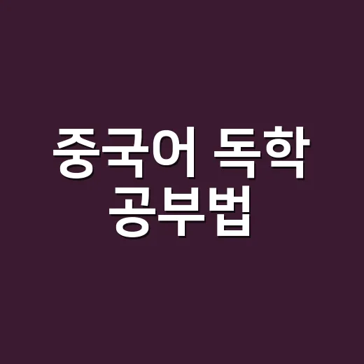 중국어 독학 공부법, 초보자가 발음부터 회화까지 잡으려면 이렇게 - 요약
