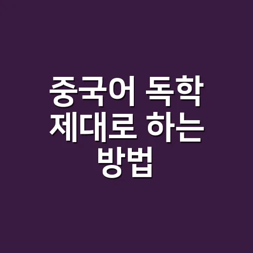 중국어 독학 제대로 하는 방법, 발음부터 회화까지 혼자 잡는 순서 - 요약