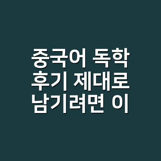 중국어 독학 후기 제대로 남기려면 이렇게 공부해야 합니다 - 요약