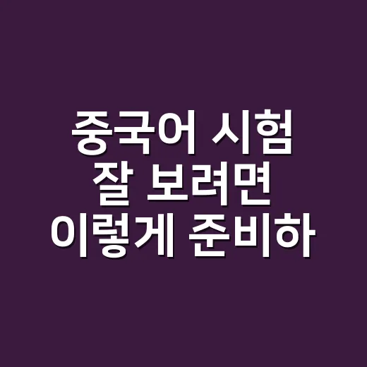 중국어 시험 잘 보려면 이렇게 준비하세요: HSK부터 회화형 평가까지 - 요약
