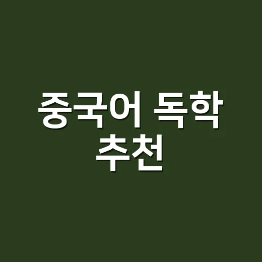 중국어 독학 추천, 초보자가 길게 버티려면 이렇게 시작하세요 - 요약